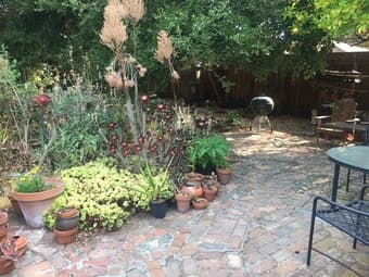 Sunny furnished bedroom available mid-Sep in Covid-savvy Menlo Park 2