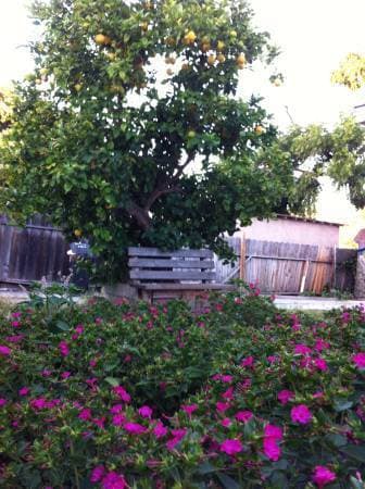 $890 / 1300ft2 - $890 private furnished room in single house of Menlo 4