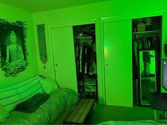 Bedroom w/shared bathroom in Mountain View apartment AVAILABLE OCT 1 2