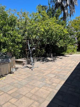 Furnished Room for rent in Palo Alto 三室二卫 独立屋一房间招租 4