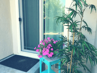 Studio or large master bedroom with private bath and private entrance 1