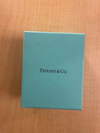 Tiffany and Co necklace 2
