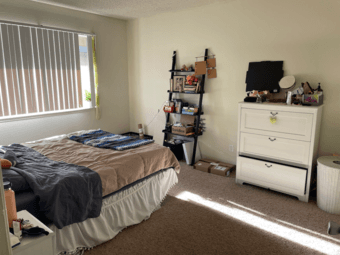 Bedroom and Private Bath in Spacious 2B2B Pet Friendly Apt - Mt View 1