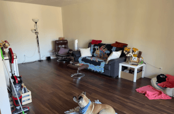 Bedroom and Private Bath in Spacious 2B2B Pet Friendly Apt - Mt View 2