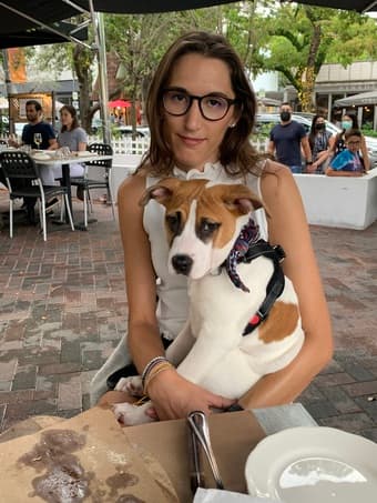 Studio or One Bedroom - Wanted 1