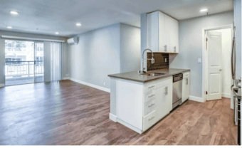 Room in beautiful 2br apartment in MTV 1