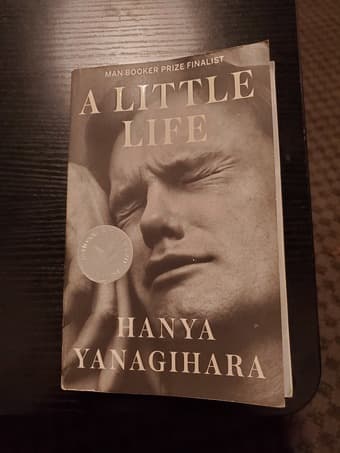 A Little Life by Hanya Yanagihara, used, good condition 1