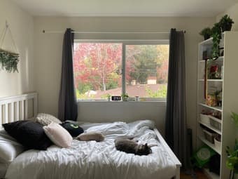 Roomnear University Ave. < 10 minutes to Stanford campus. Jan 1st 1