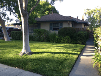 Seeking female roommate for sunny bedroom in Palo Alto house 1