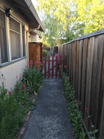 Seeking female roommate for sunny bedroom in Palo Alto house 2