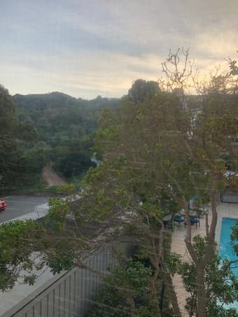 Room available in 2B2B apartment in Belmont 2