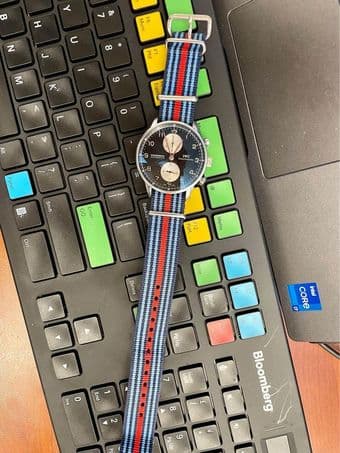 IWC 3714-04 "Panda" with extra straps - $3750 2