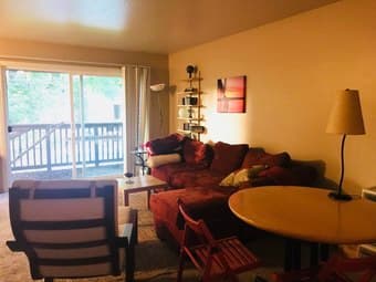 Spacious Master BR with private Bathroom in Mountain View 1