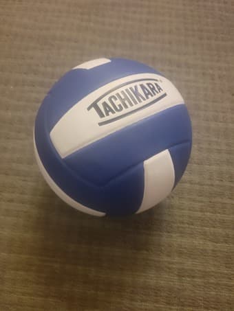 Volleyball 1