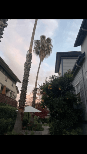 2 rooms available in in the heart of downtown Palo Alto 3