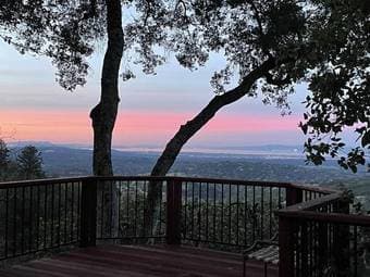 Portola Valley Forest, now until April 6 2