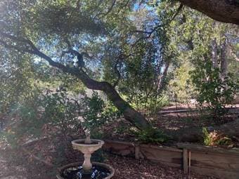 Portola Valley Forest, now until April 6 3