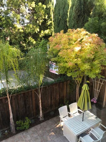 [Female] Gorgeous Furnished Master Suite in RWC (April 30 Move In) 4