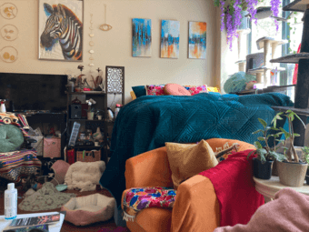 Furnished sublet in Munger / Catsit for reduced rent - July + August 1