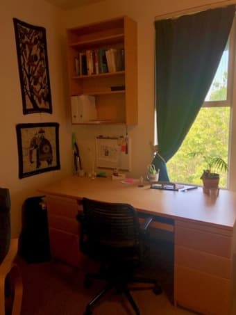 Beautiful studio April 11-May 26 on campus 2