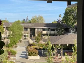 Beautiful Mountain View apartment 1B1B for rent 1