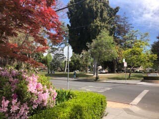 $1500! Private room in a 3B1B apartment is available now 4