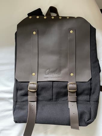 Stylish leather backpack 2