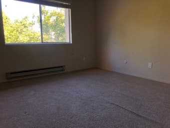 Palo Alto master bedroom room available June 1st - 12 min bike 1