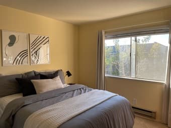 Large 1BR Apartment Available for Sublet near Cal Ave. (July-Sept) 4