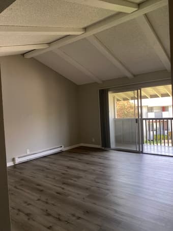 Female undergrad looking for roommate to share apartment! 2