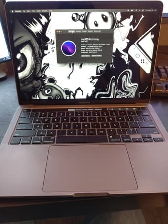 2020 13" MacBook Pro (i5, 1TB SSD) 1
