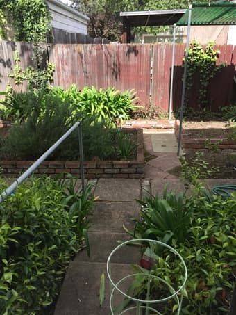 2 Br /1.5 Ba townhouse walking distance to campus (College Terrace) 3