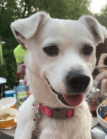 Medical Student looking for Aug 20 - Sept 18 sublet (studio/1Bd1Bath) 1