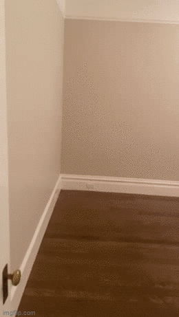 Good sized room in Castro neighborhood of San Francisco 1