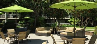 Mountain View luxury apartment 1b1b 3