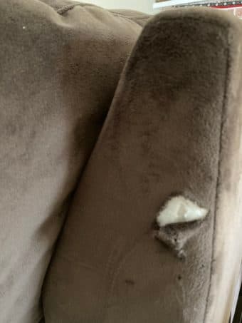 FREE ** Super comfy great velour couch ** 3