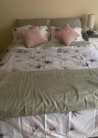 Queen Bed + Mattress 1