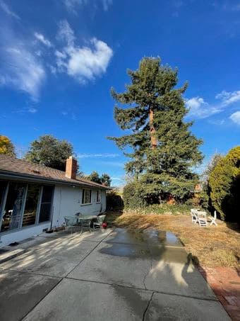 Palo Alto room -quiet and large yard 1