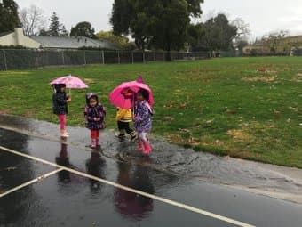 Heffalump Preschool Open for Enrollment! 2