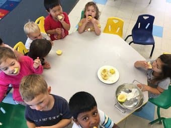 Heffalump Preschool Open for Enrollment! 3