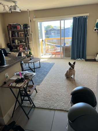Room in 2 Bed/1 Bath Apartment Available in San Mateo! 1