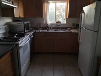 1 Bedroom (Palo Alto) Available from Sep 1