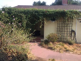 Sunny furnished room available in Covid-savvy Menlo Park home, $1600/m 1