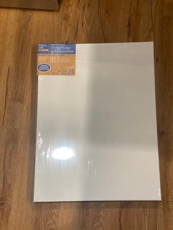 2-18x24" canvases 1