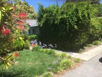 2BR 1 BA lovely garden/patio (Mountain View) 4