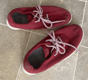 Women's Allbirds Runners (Wool) Sz 8 1