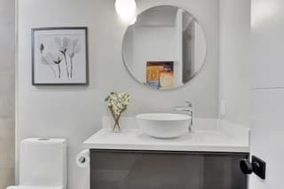 House Sitter in Willow Glen 1