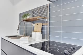 House Sitter in Willow Glen 3