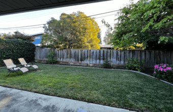 Sunny bedroom in spacious 4br 2ba Palo Alto house from Nov 1st 2