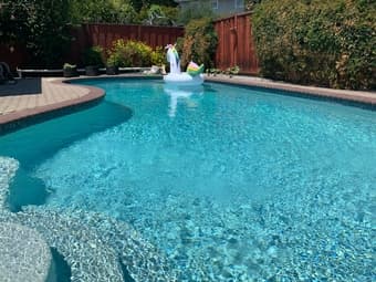 Sunny, newly renovated 1-bedroom near Midtown Palo Alto 4